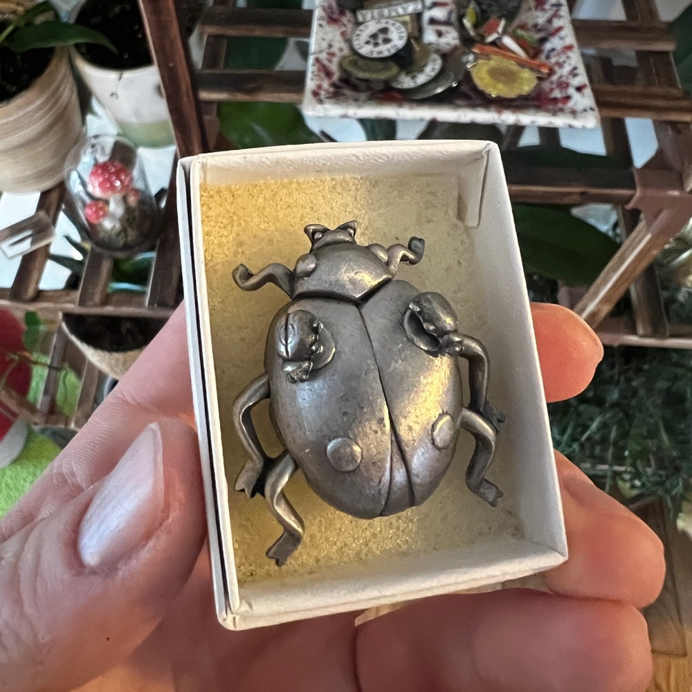 Vintage ladybug jewelry set - necklace, earrings, pin all in one!